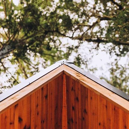 The Treeframe Cabin Vila Index Exterior foto